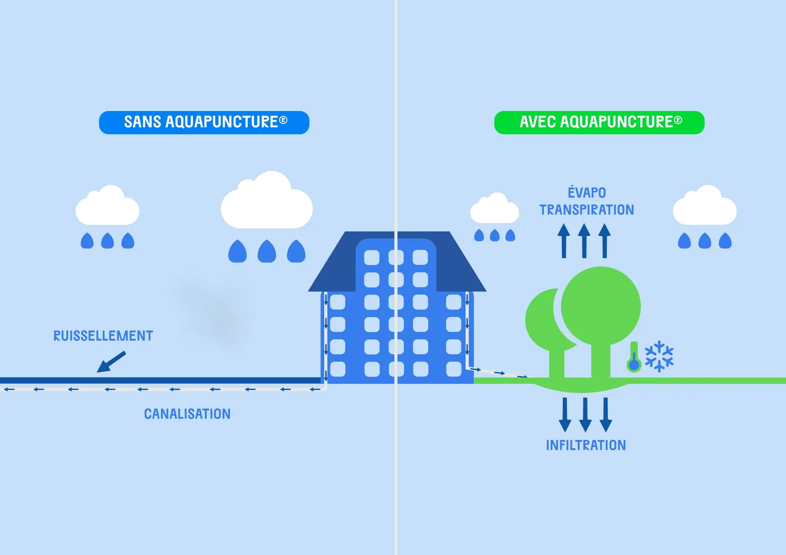 Schéma QVRSV : sans aquapuncture, l'eau de pluie ruisselle et part dans la canalisation ; avec aquapuncture, elle s'infiltre au pied des arbres, qui rafraîchissent l'air par évapotranspiration.